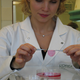 Image for article titled How Cosmetics Companies Farm Human Skin to Test Their Products